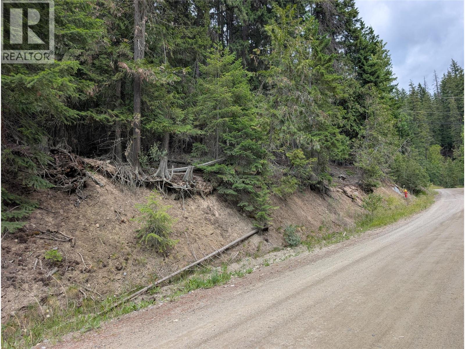 Copper Island Drive, Vickers Trail Property Photo 6