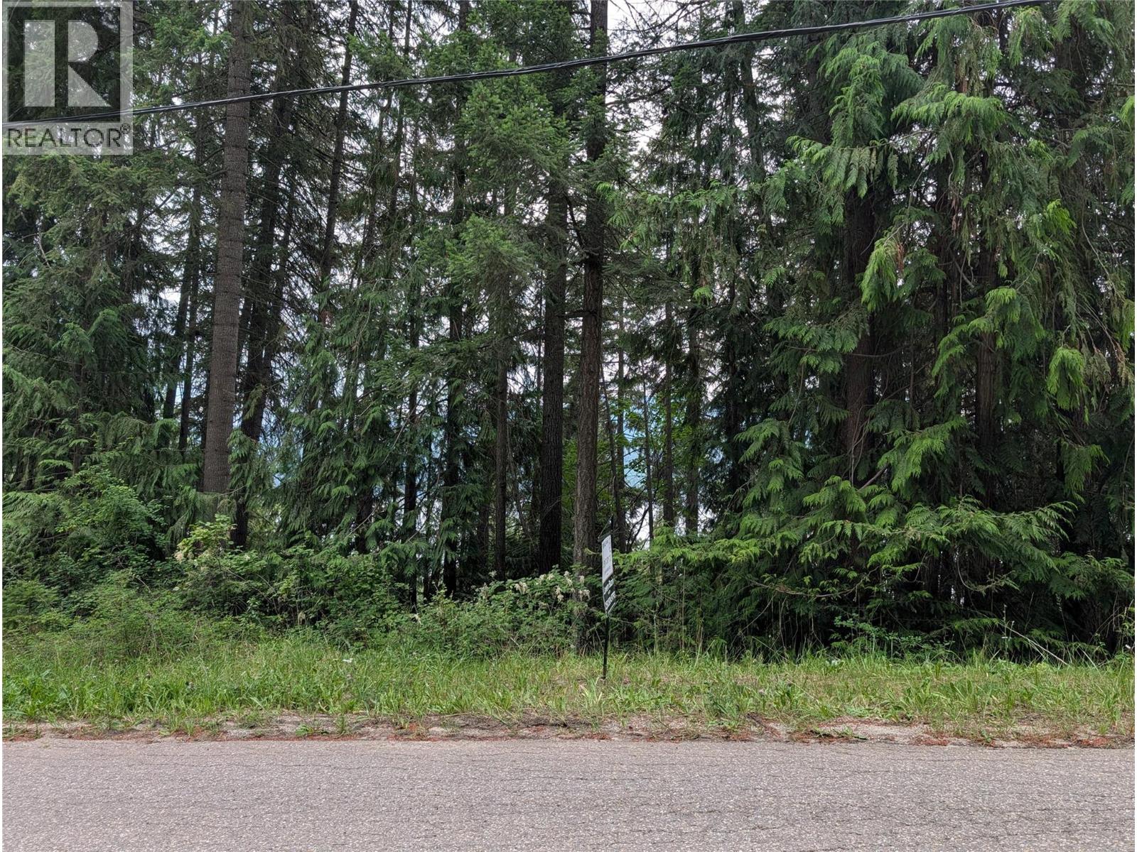Copper Island Drive, Vickers Trail Property Photo 7