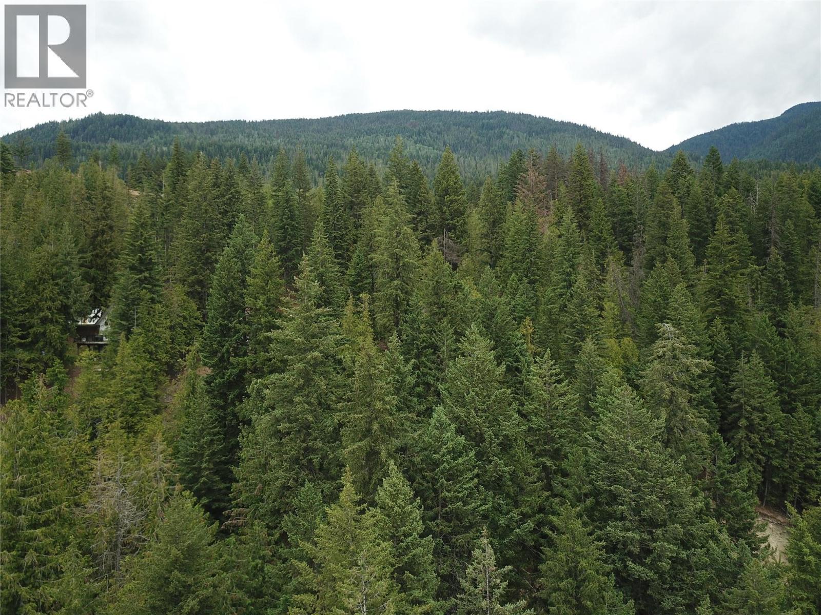 Copper Island Drive, Vickers Trail Property Photo 8