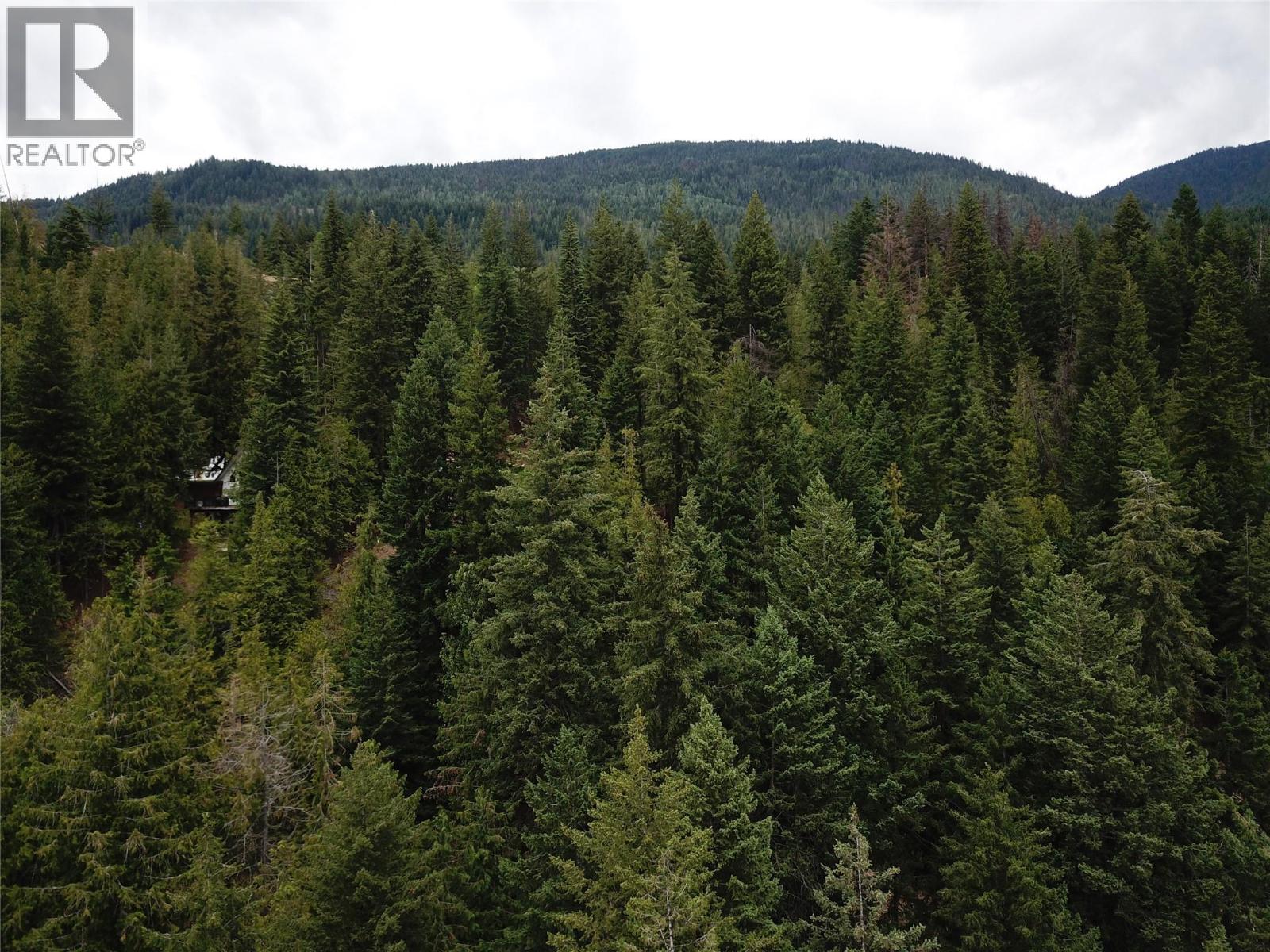 Copper Island Drive, Vickers Trail Property Photo 11