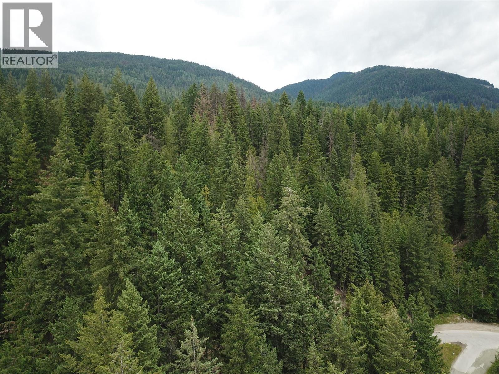 Copper Island Drive, Vickers Trail Property Photo 12