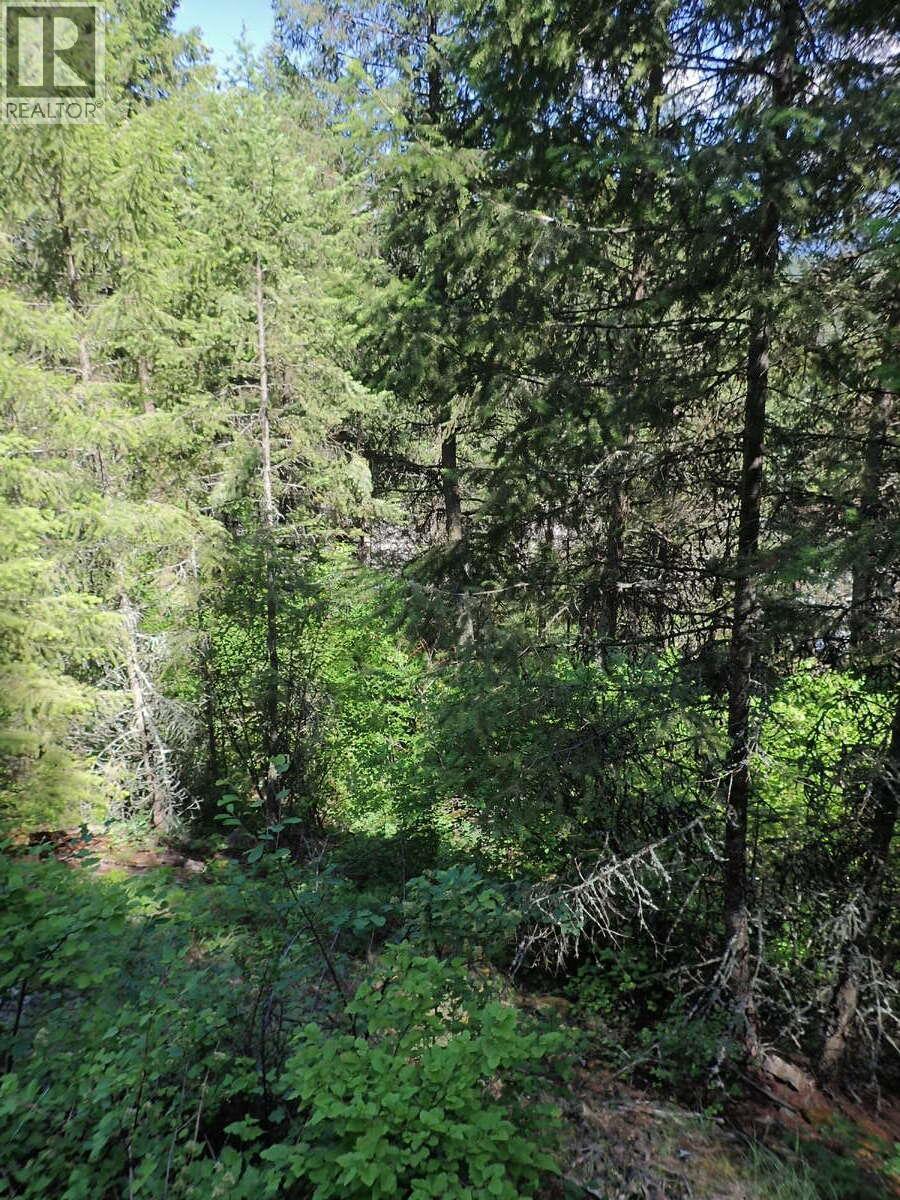 Lot 7 Eagle Ridge Road Property Photo 4