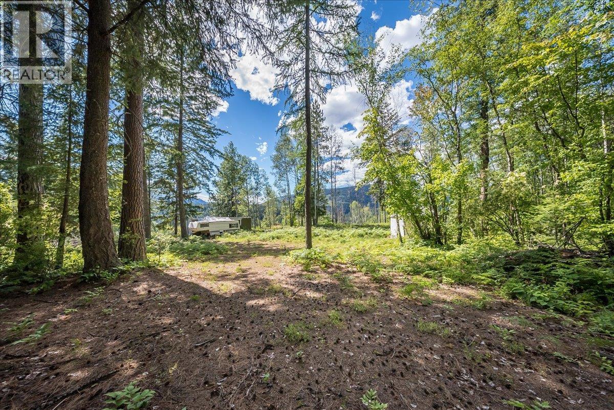 1385 Pass Creek Road Property Photo 10