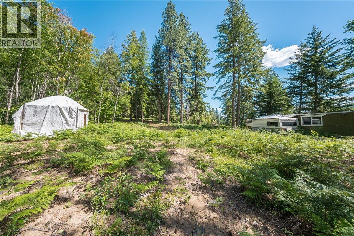 1385 Pass Creek Road Property Photo 13