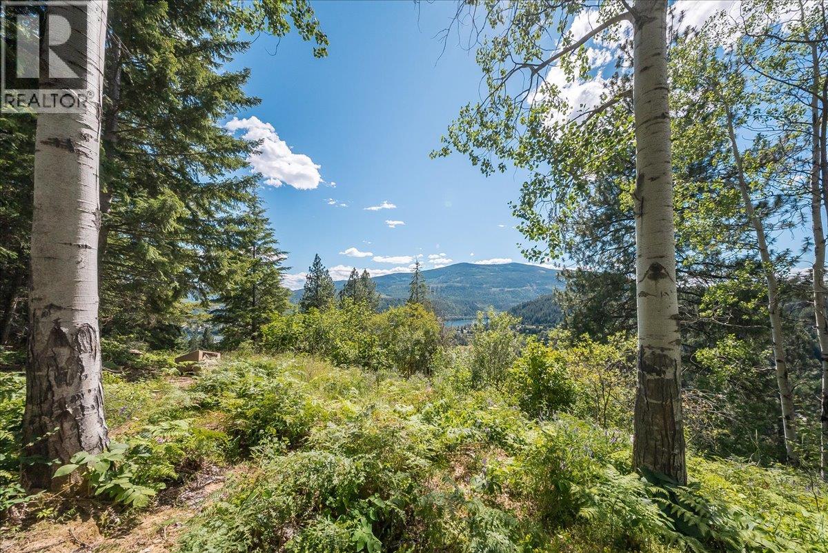 1385 Pass Creek Road Property Photo 14