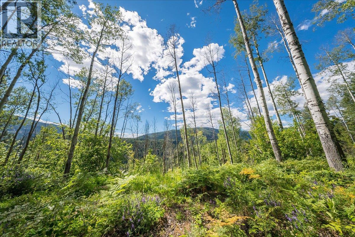 1385 Pass Creek Road Property Photo 15