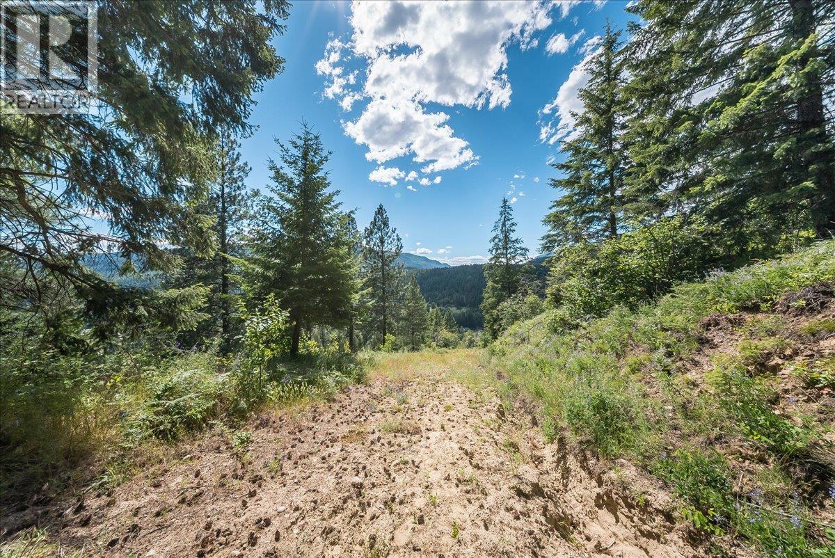 1385 Pass Creek Road Property Photo 16