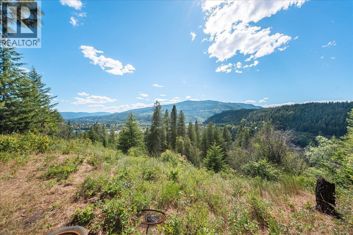 1385 Pass Creek Road Property Photo 17
