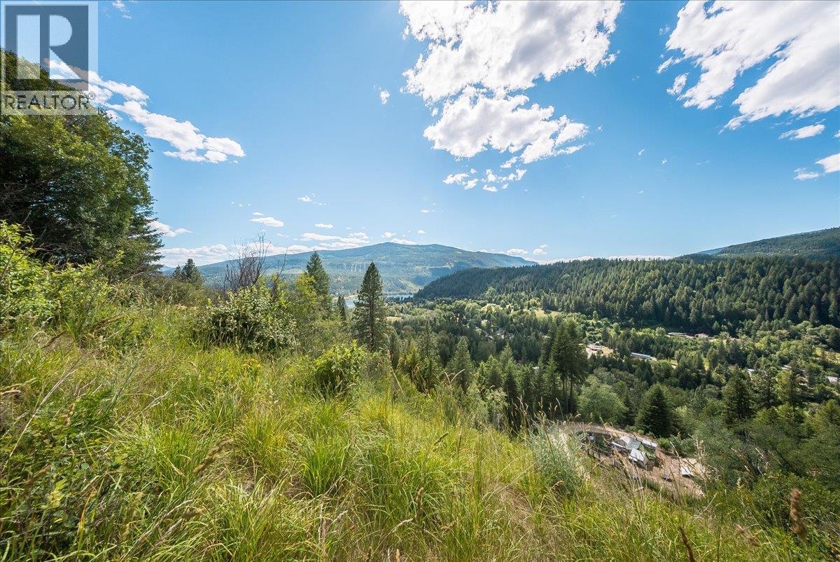 1385 Pass Creek Road Property Photo 18