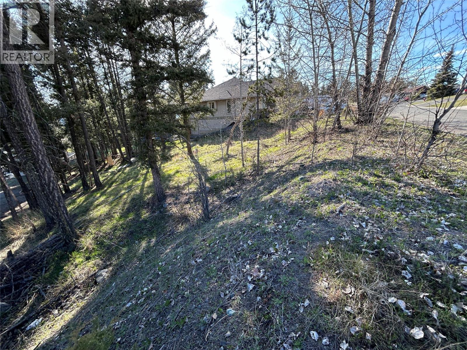 274 Calcite Drive Property Photo 4