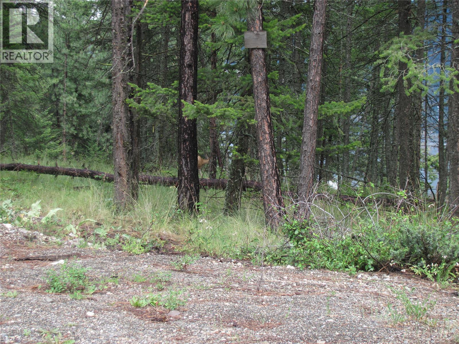 680 Fairbridge Road Property Photo 11