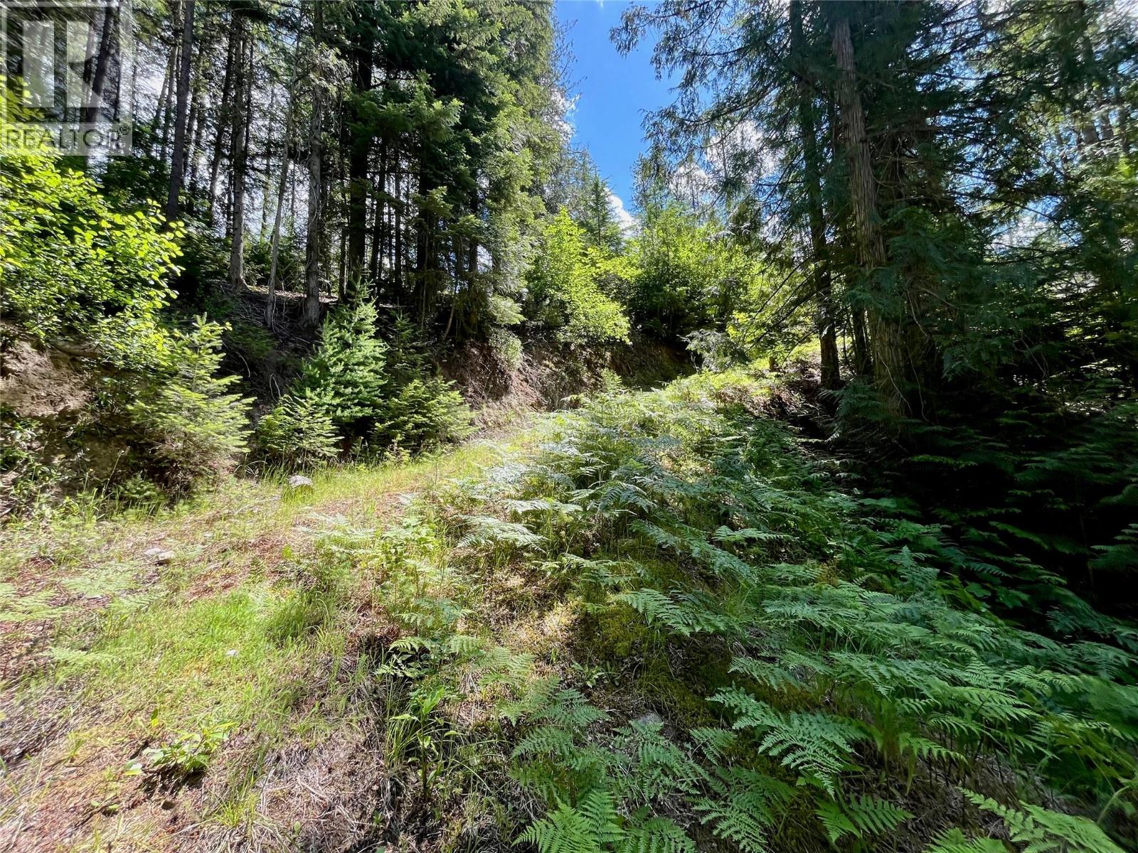 7475 6 Highway Property Photo 39