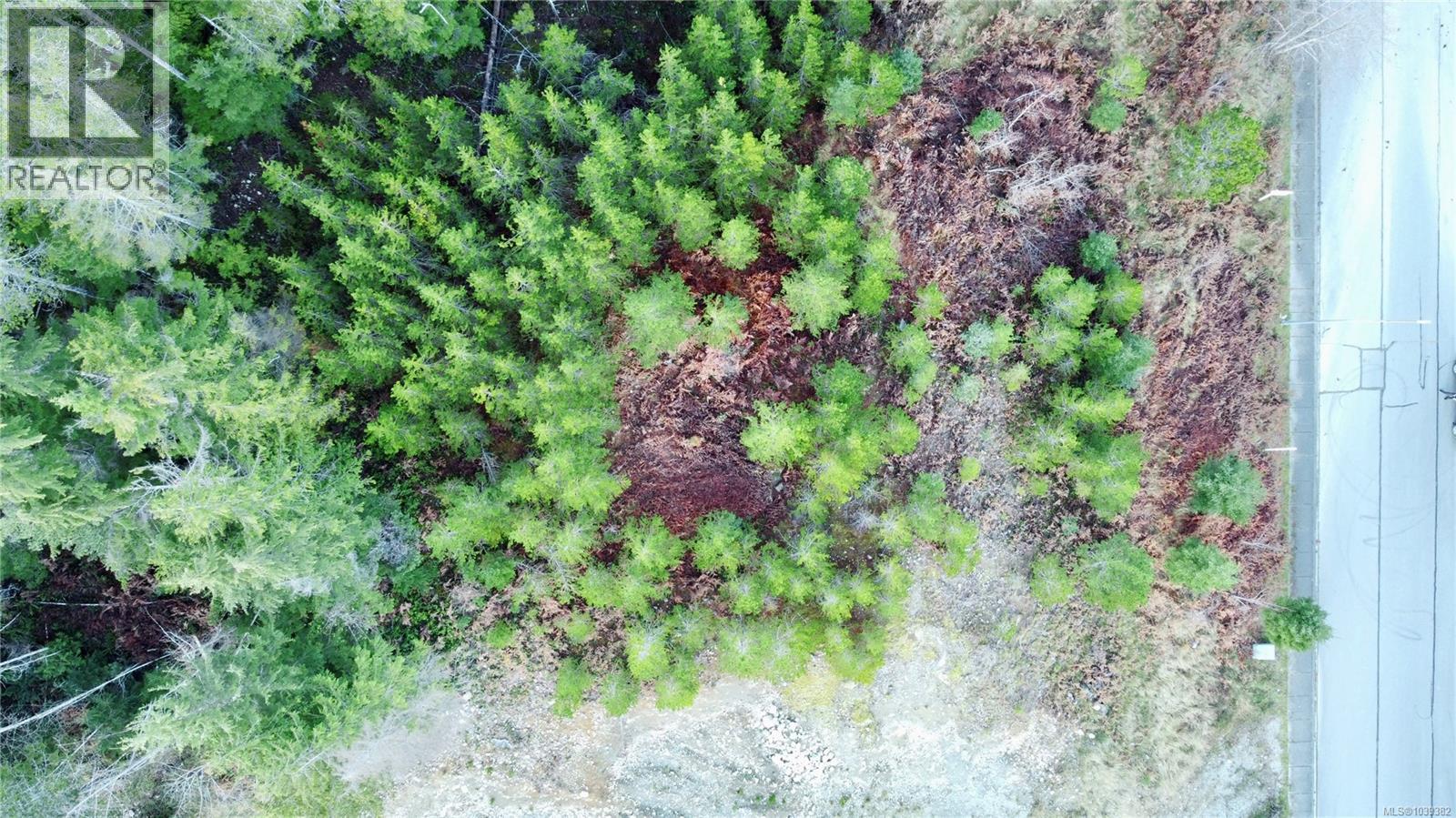 606 Scout Lake Rd Property Photo 4