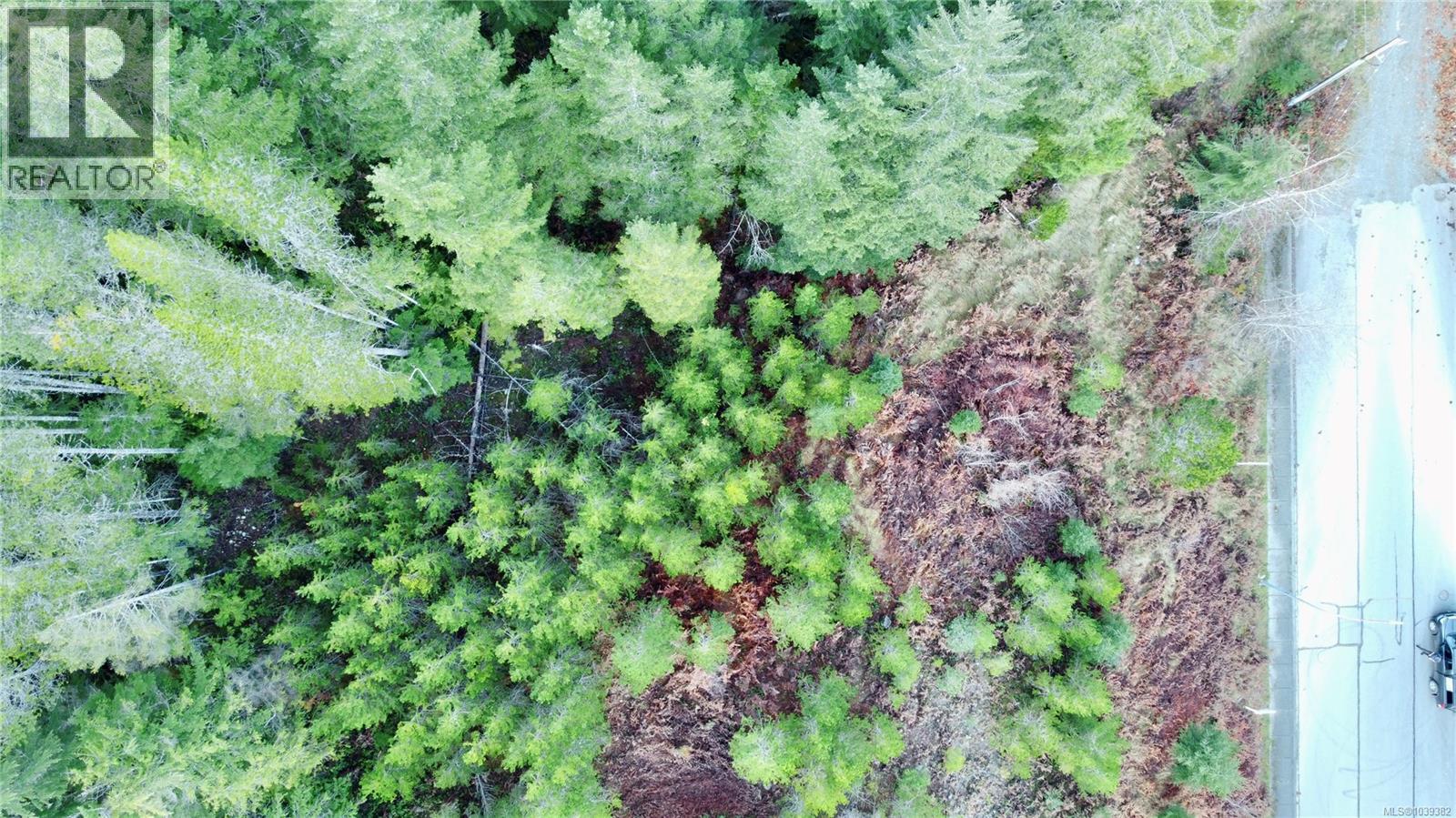 606 Scout Lake Rd Property Photo 5