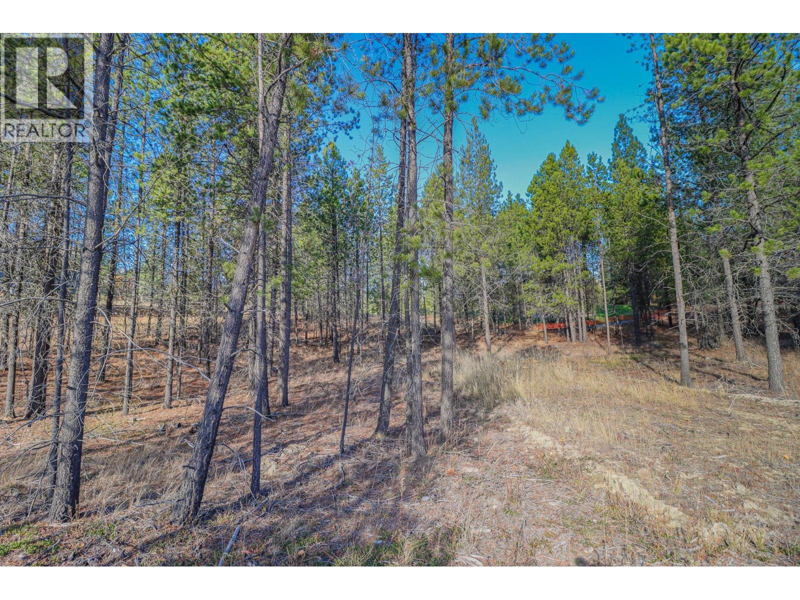 105 Corral Boulevard Property Photo 3