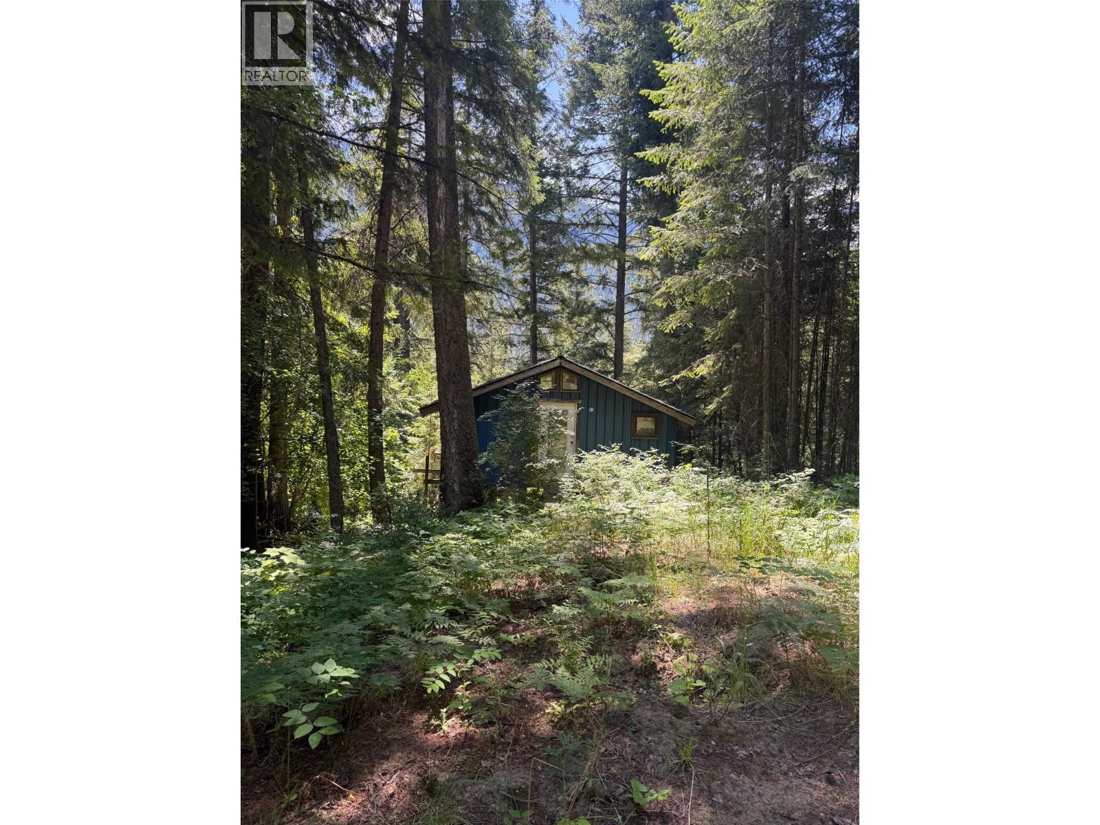 4774 Slocan River Road Property Photo 2
