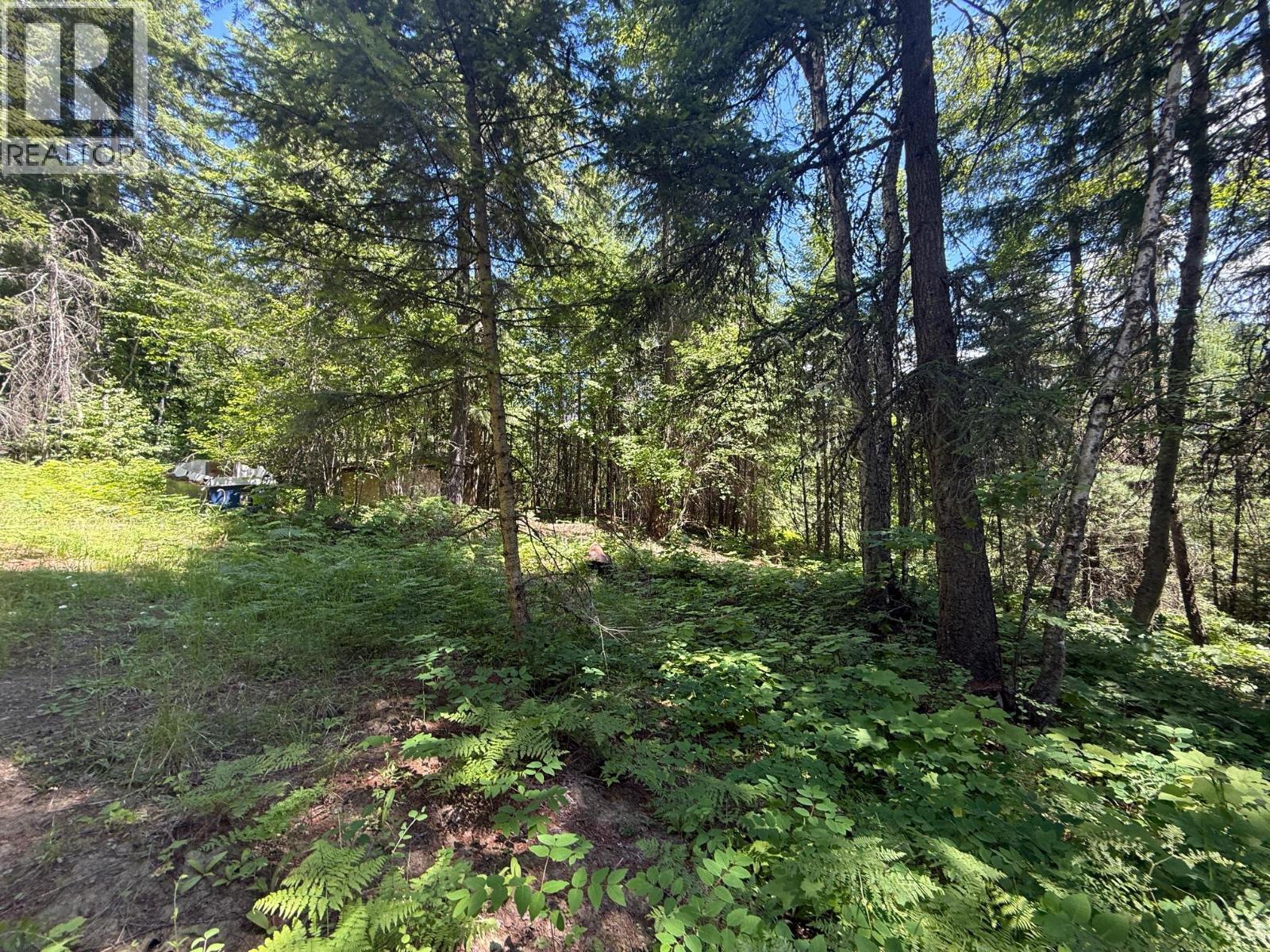 4774 Slocan River Road Property Photo 4
