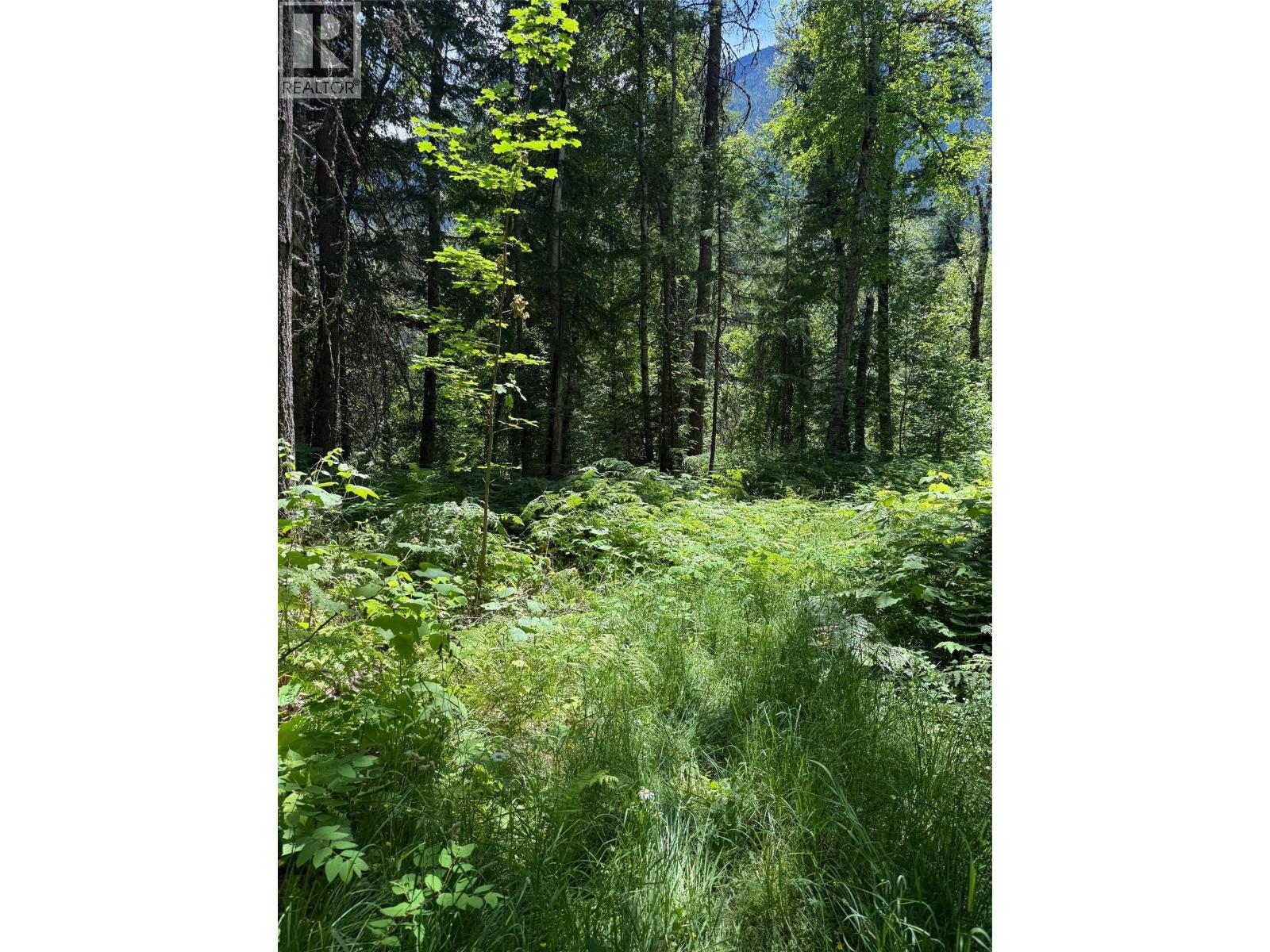 4774 Slocan River Road Property Photo 5