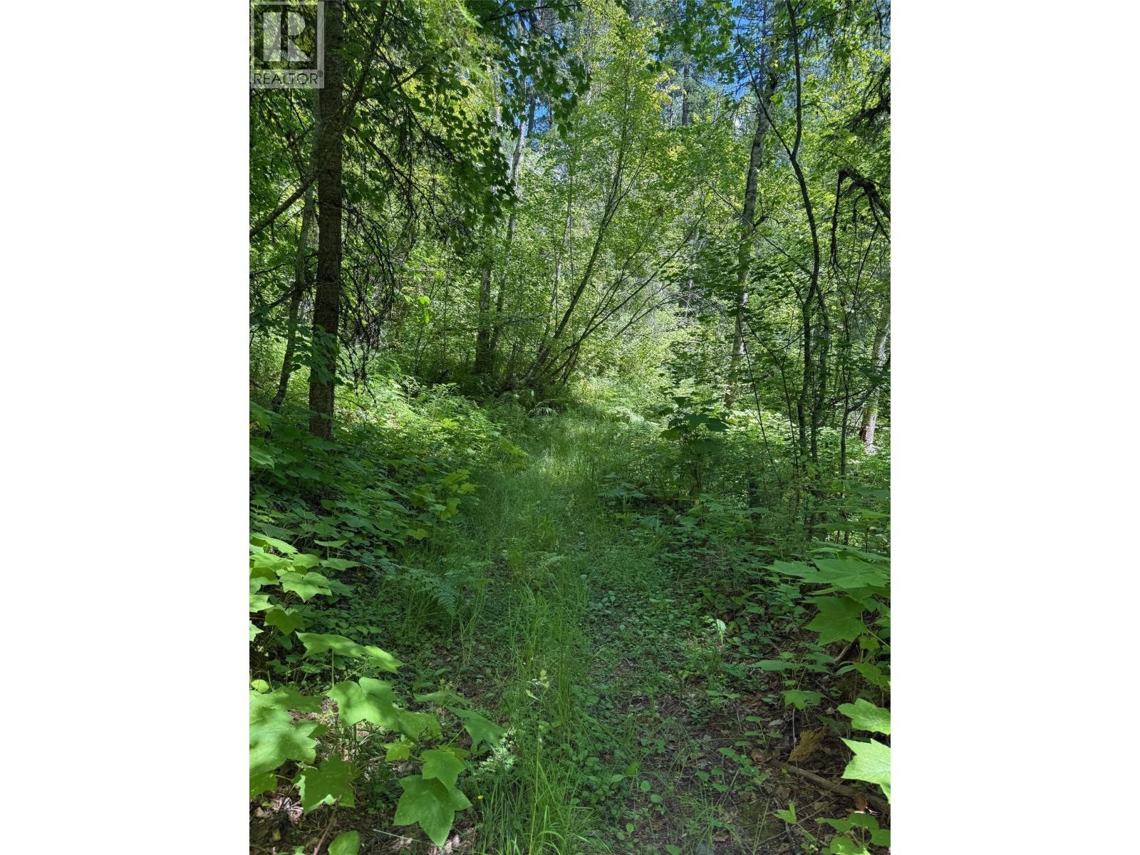 4774 Slocan River Road Property Photo 6