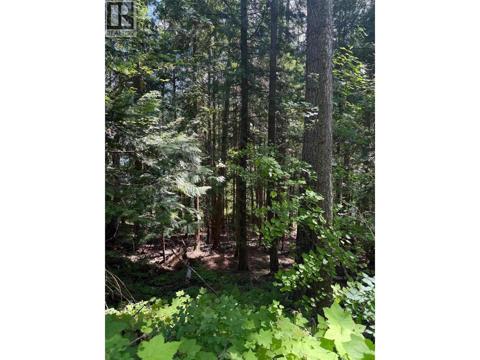 4774 Slocan River Road Property Photo 7