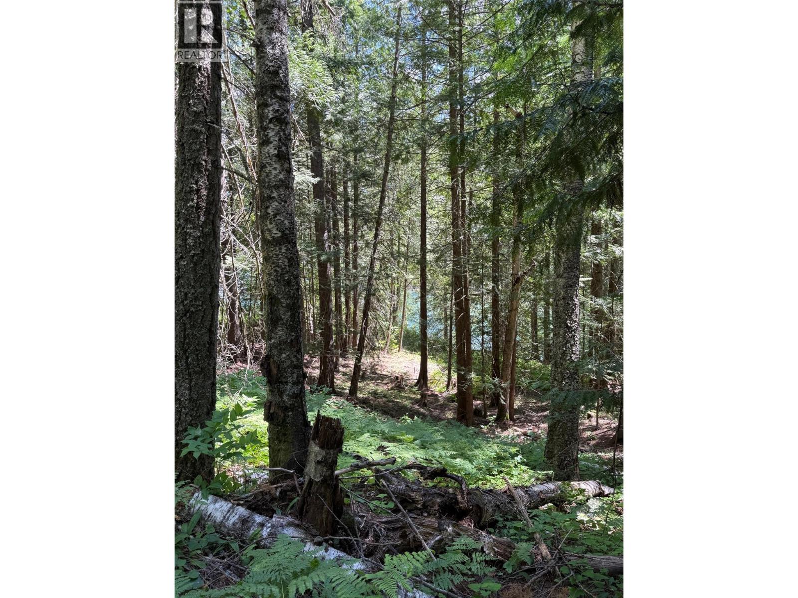 4774 Slocan River Road Property Photo 8
