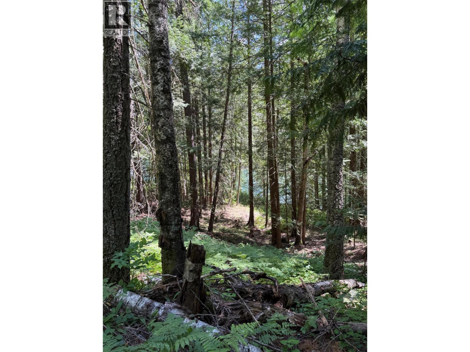 4774 Slocan River Road Property Photo 9