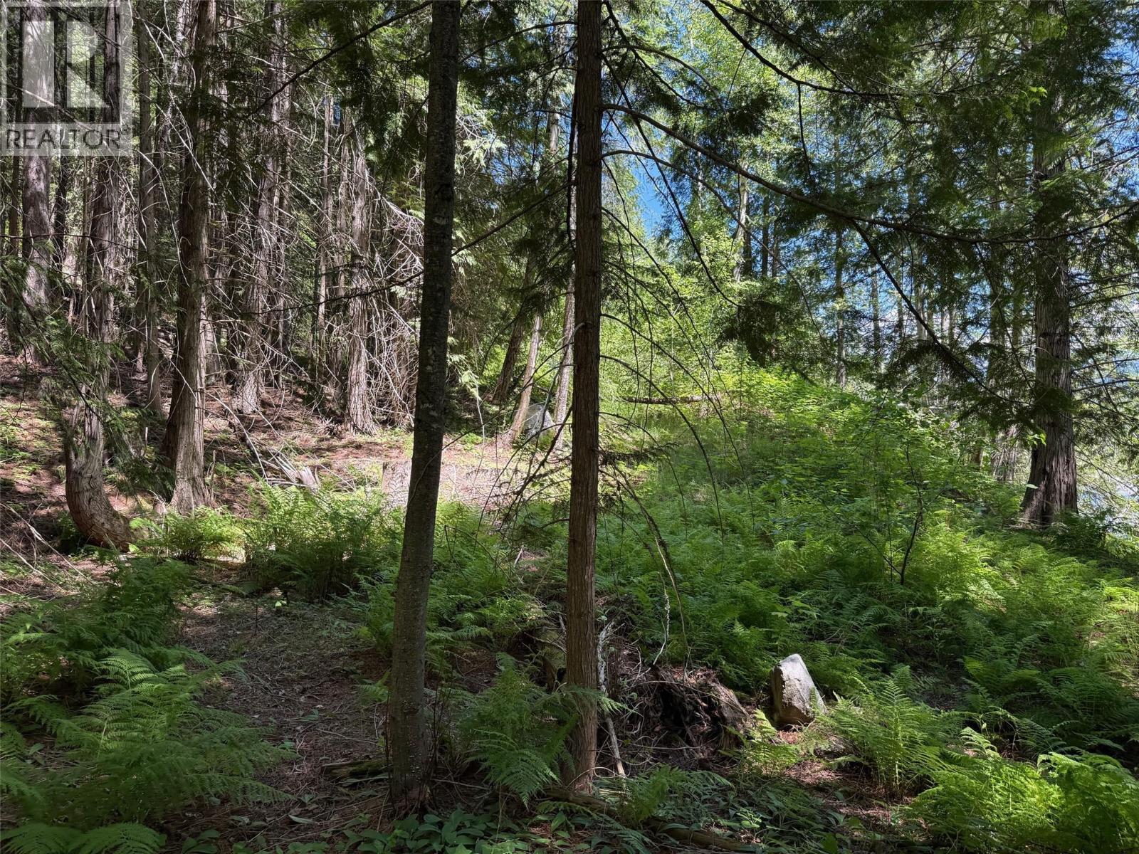 4774 Slocan River Road Property Photo 13