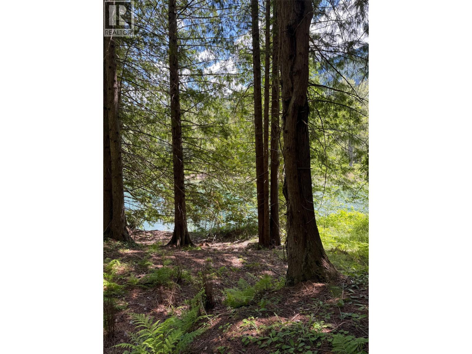 4774 Slocan River Road Property Photo 14