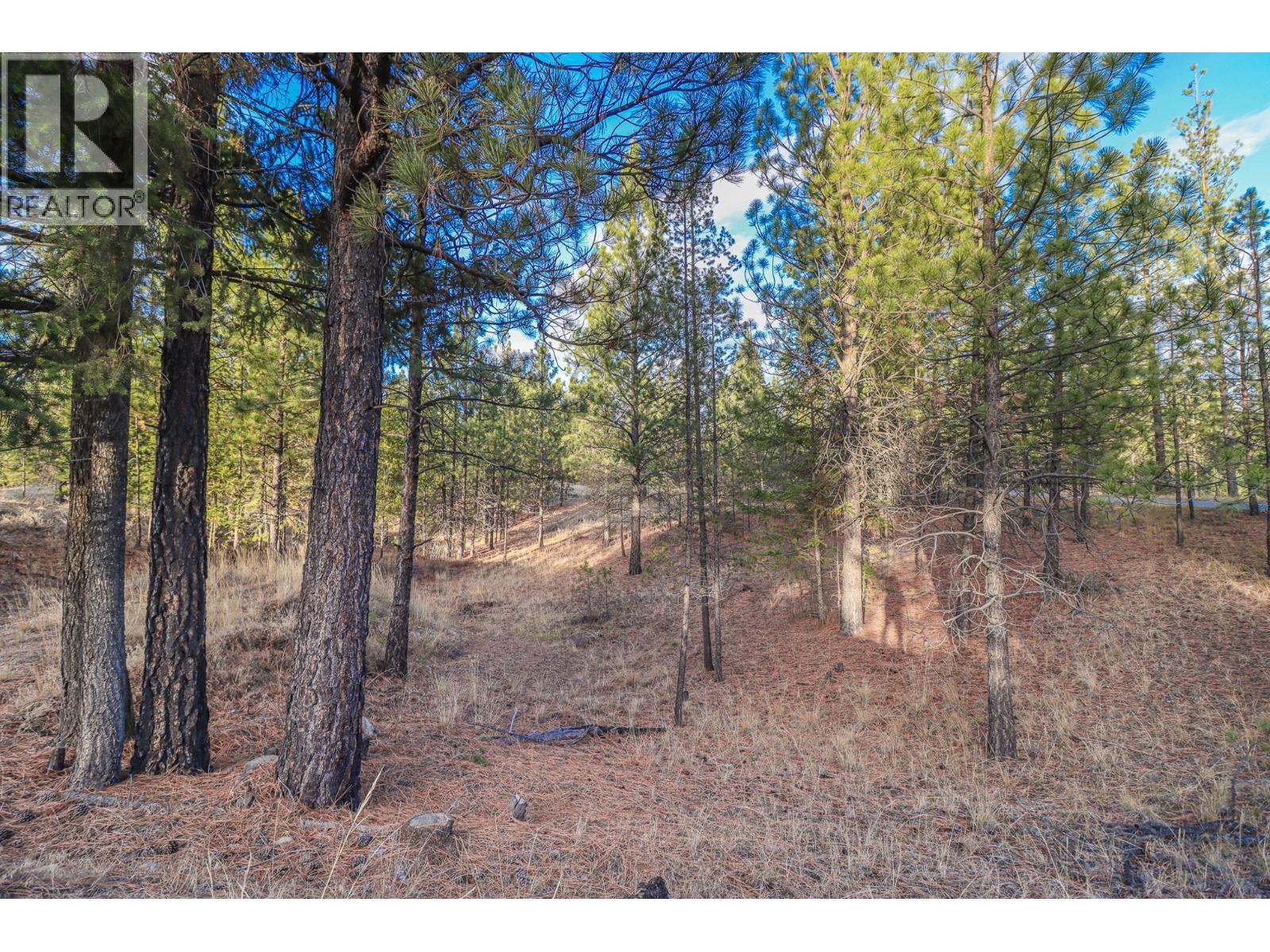 201 Corral Boulevard Property Photo 3