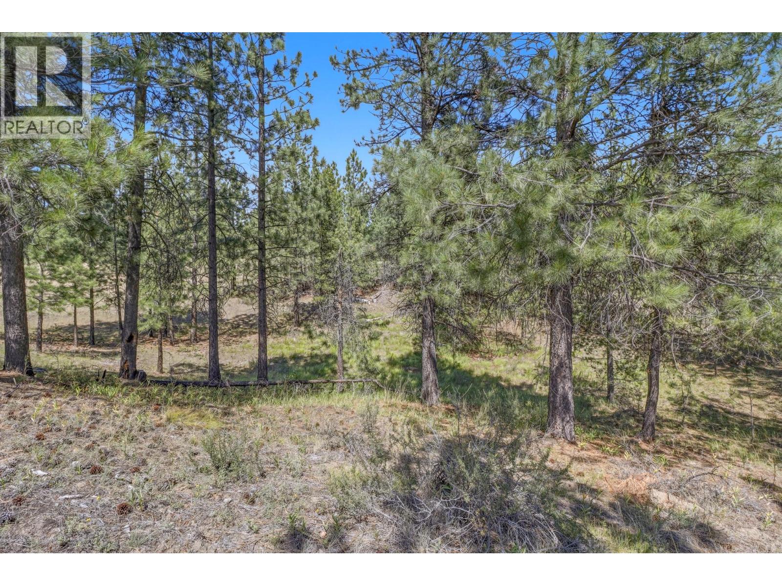 205 Corral Boulevard Property Photo 5
