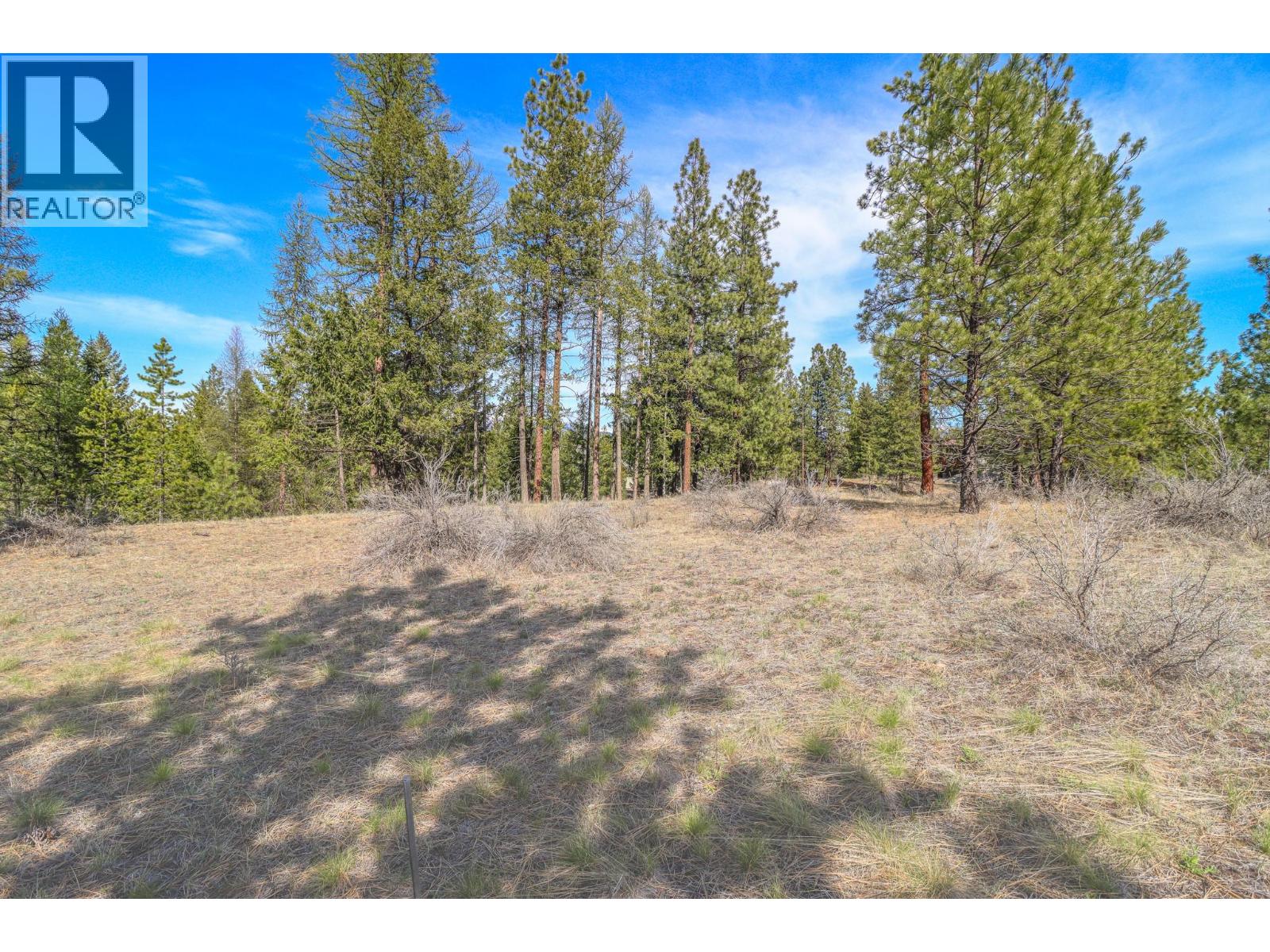 241 CORRAL Boulevard Property Photo 1