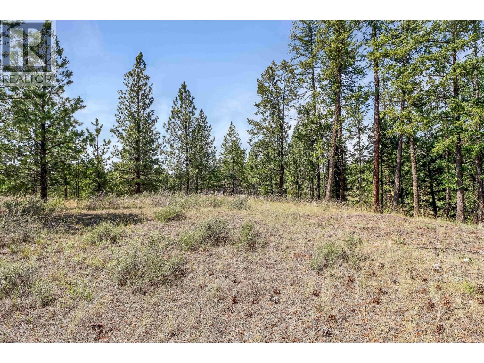 241 Corral Boulevard Property Photo 4