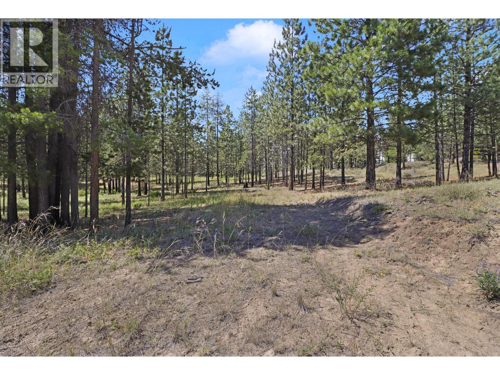 345 CORRAL Boulevard Property Photo 1
