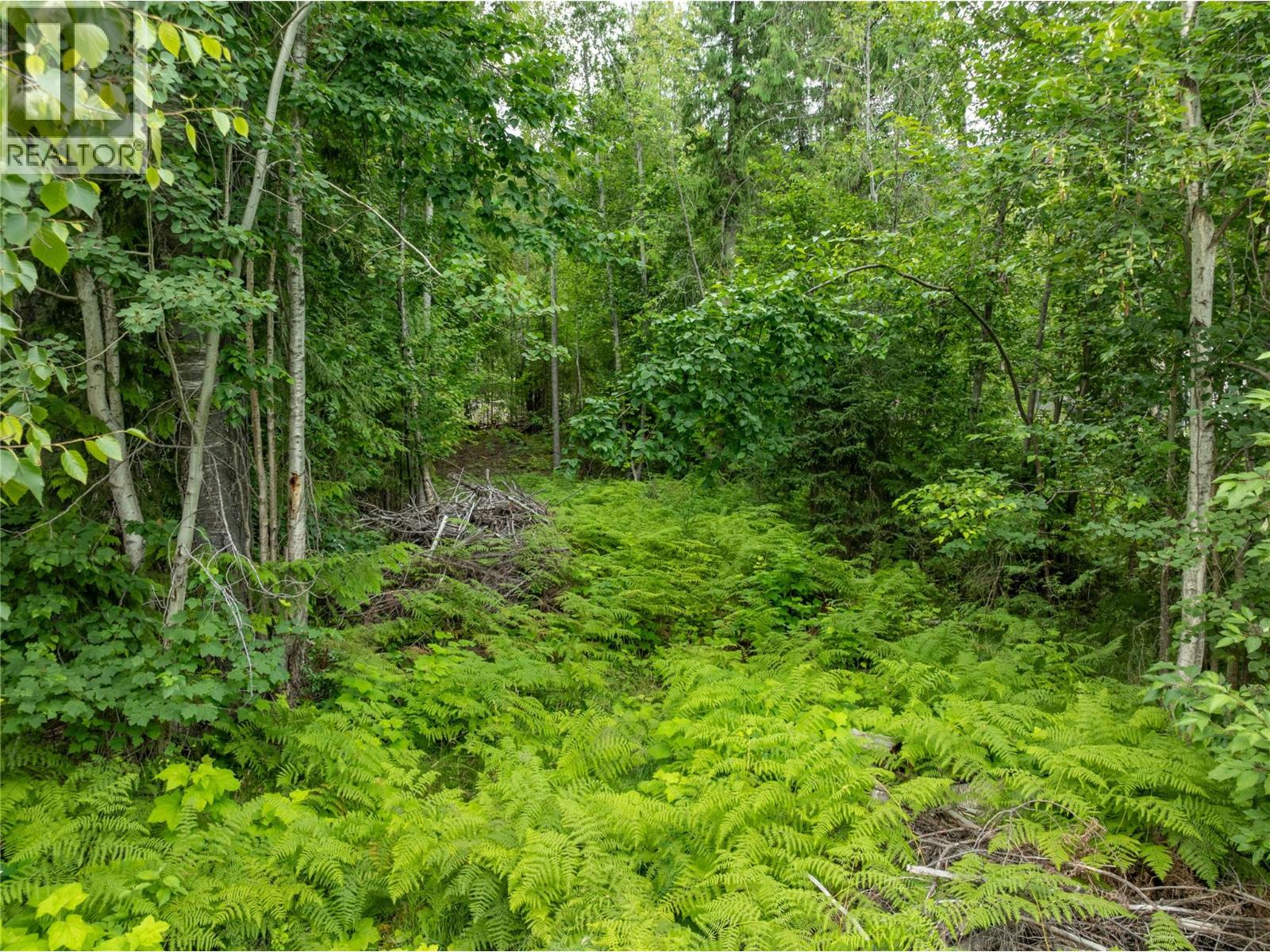 Mountain Drive Lot# 40 Property Photo 5