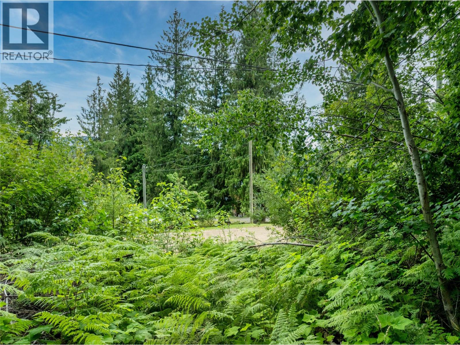 Mountain Drive Lot# 40 Property Photo 11
