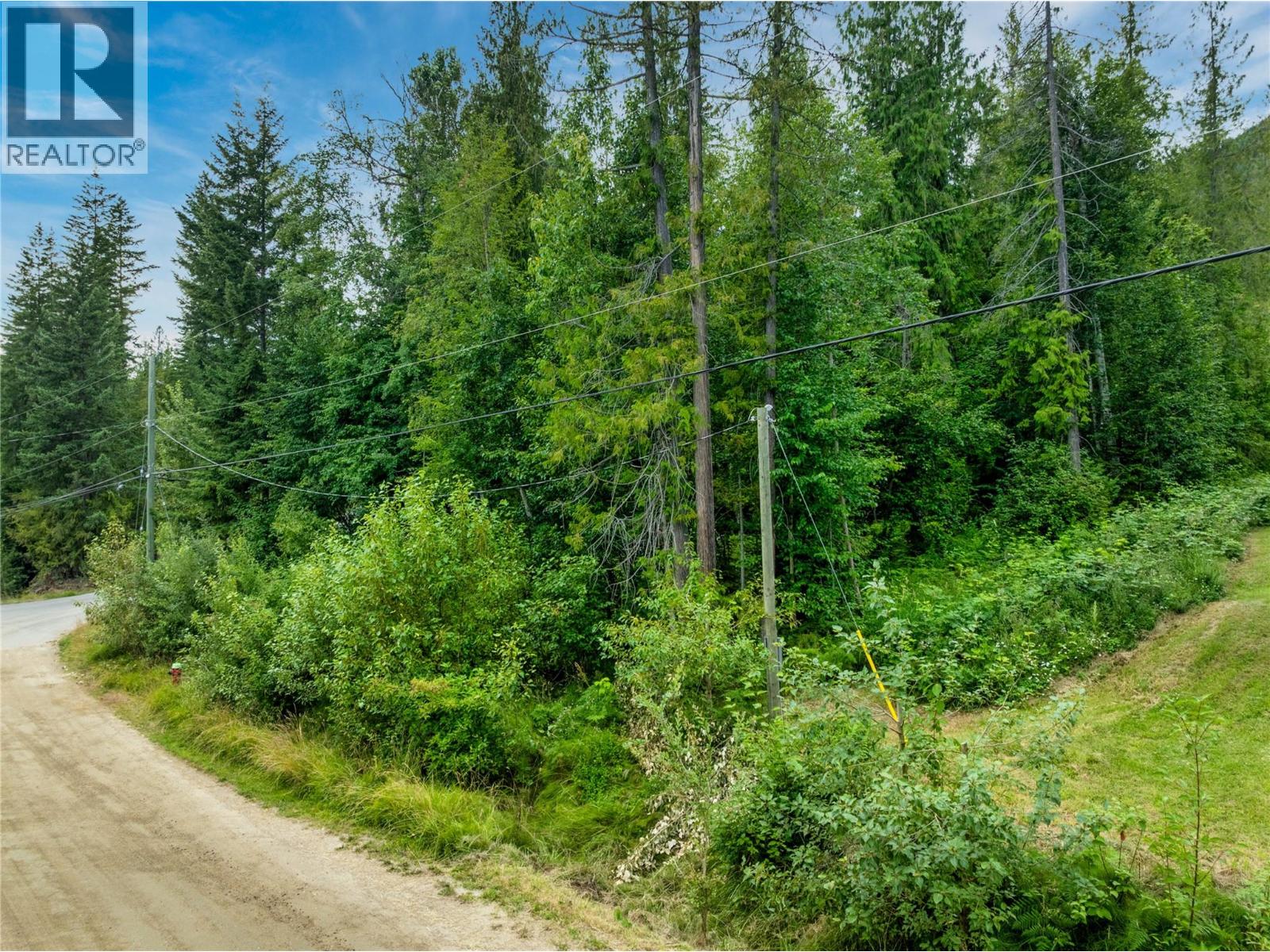 Mountain Drive Lot# 40 Property Photo 12