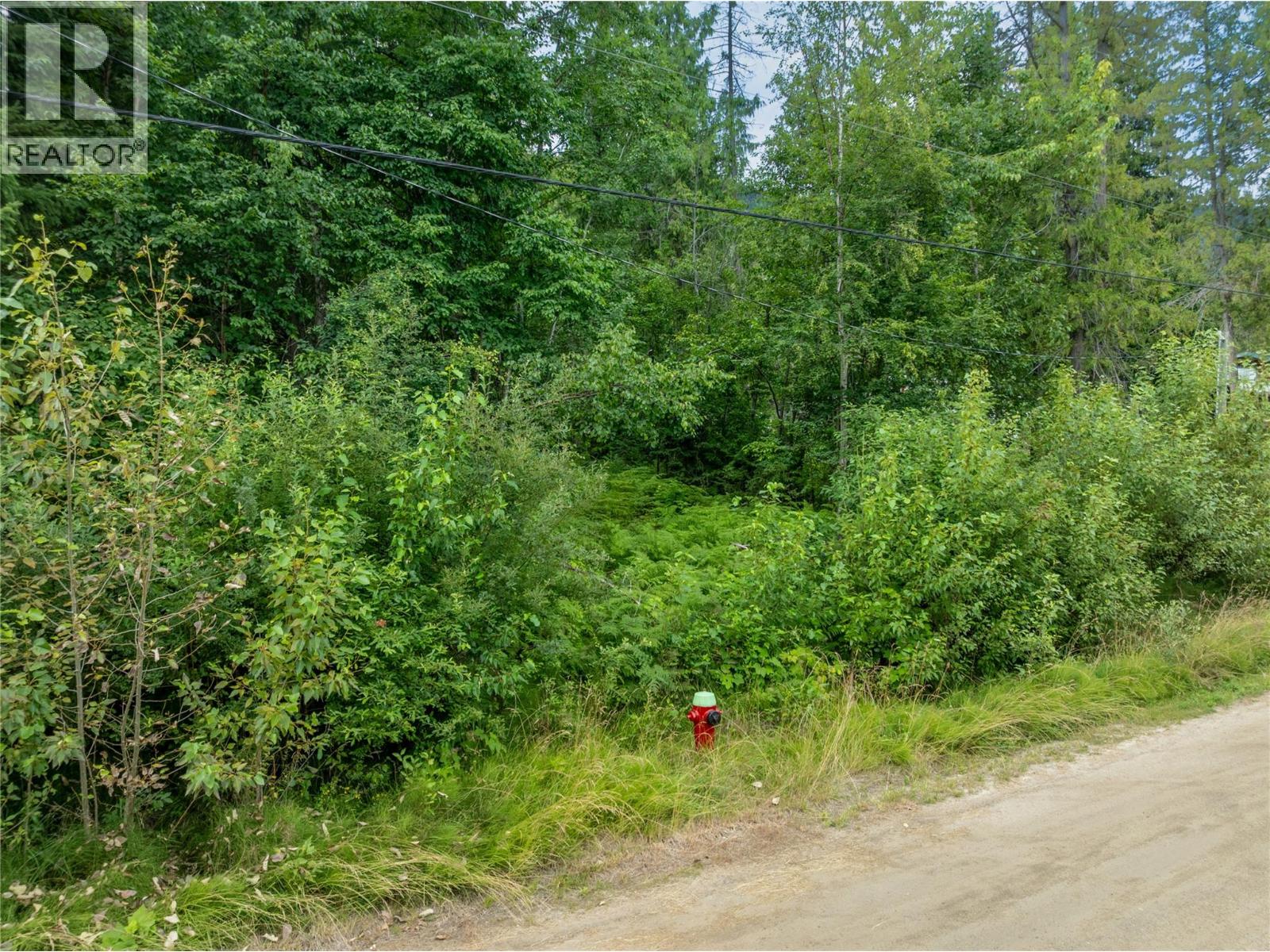 Mountain Drive Lot# 40 Property Photo 13