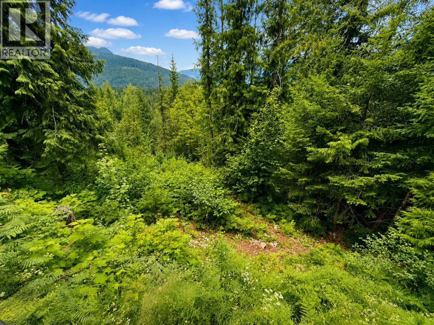 87 Dolly Varden Road Property Photo 16