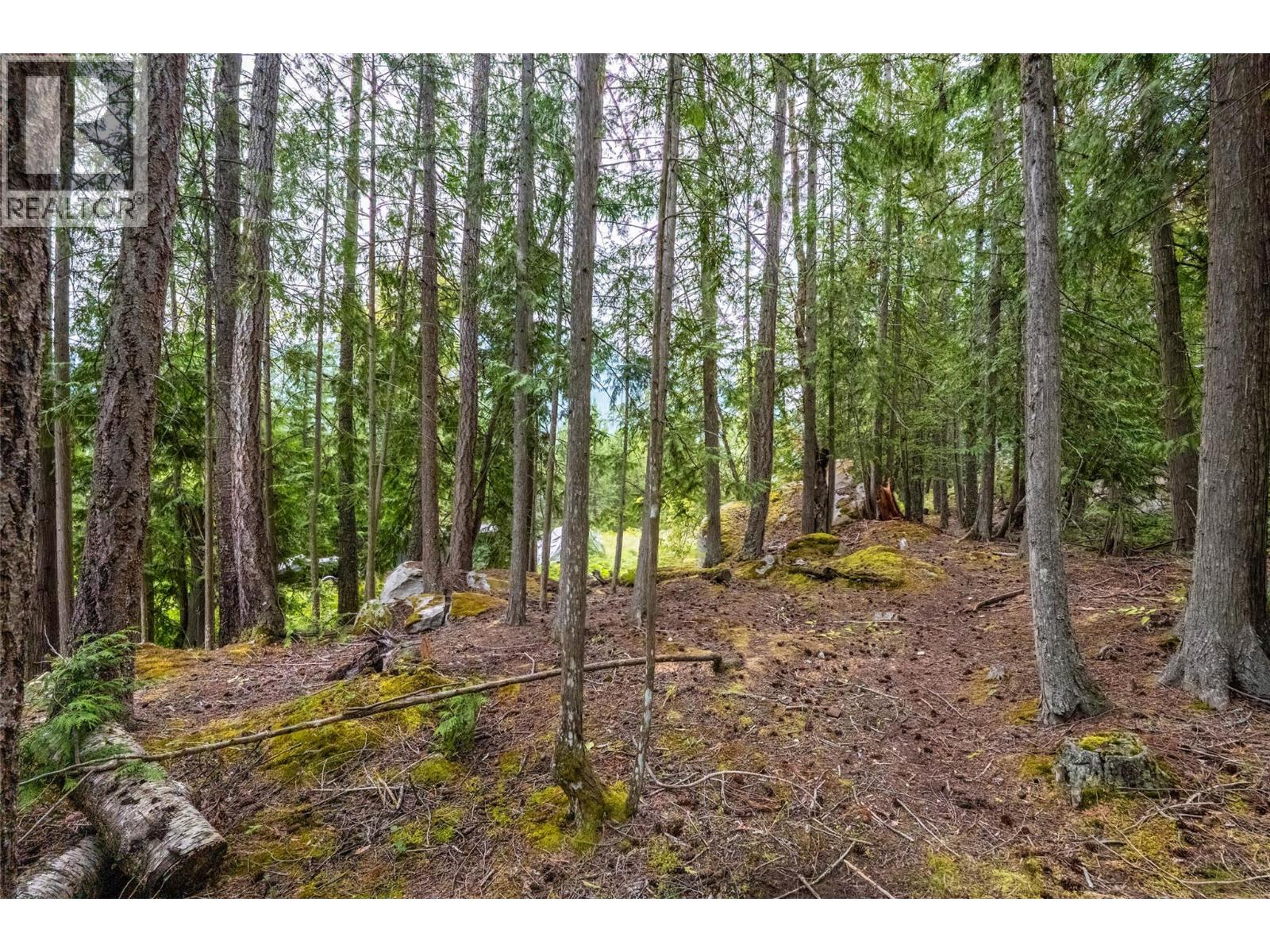 183-191 Kootenay Lake Road Property Photo 13