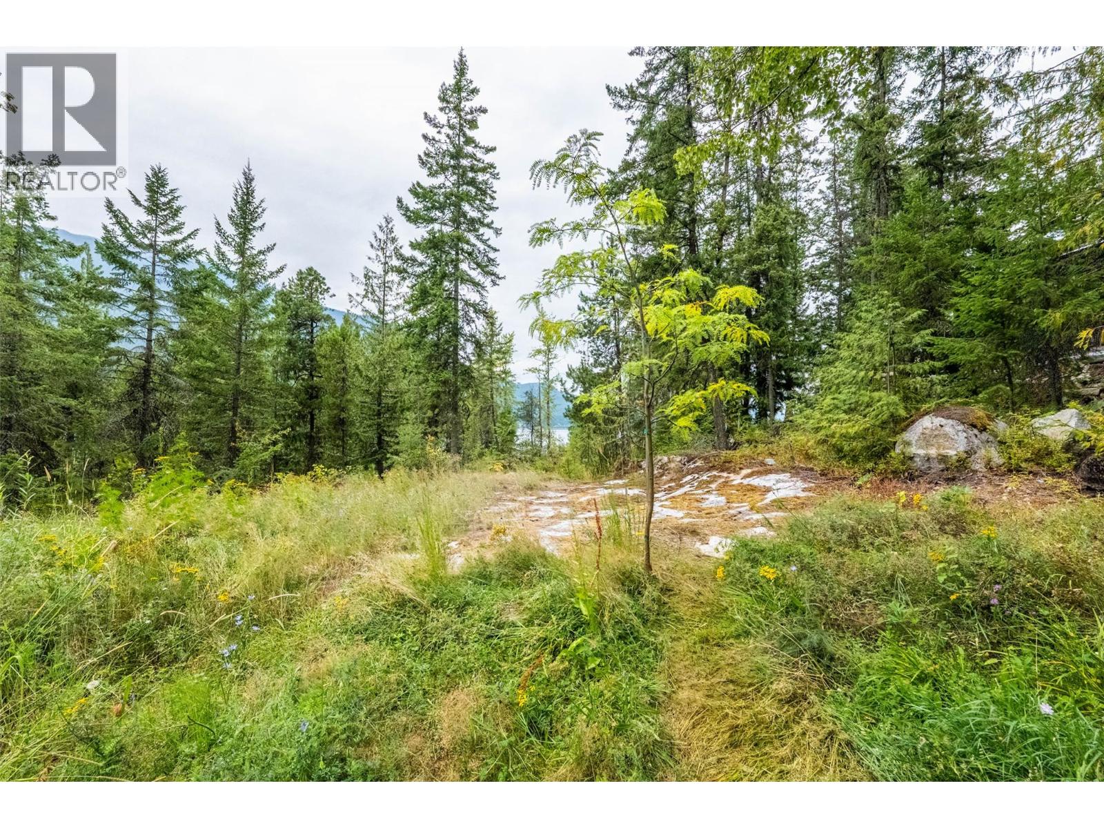 183-191 Kootenay Lake Road Property Photo 15