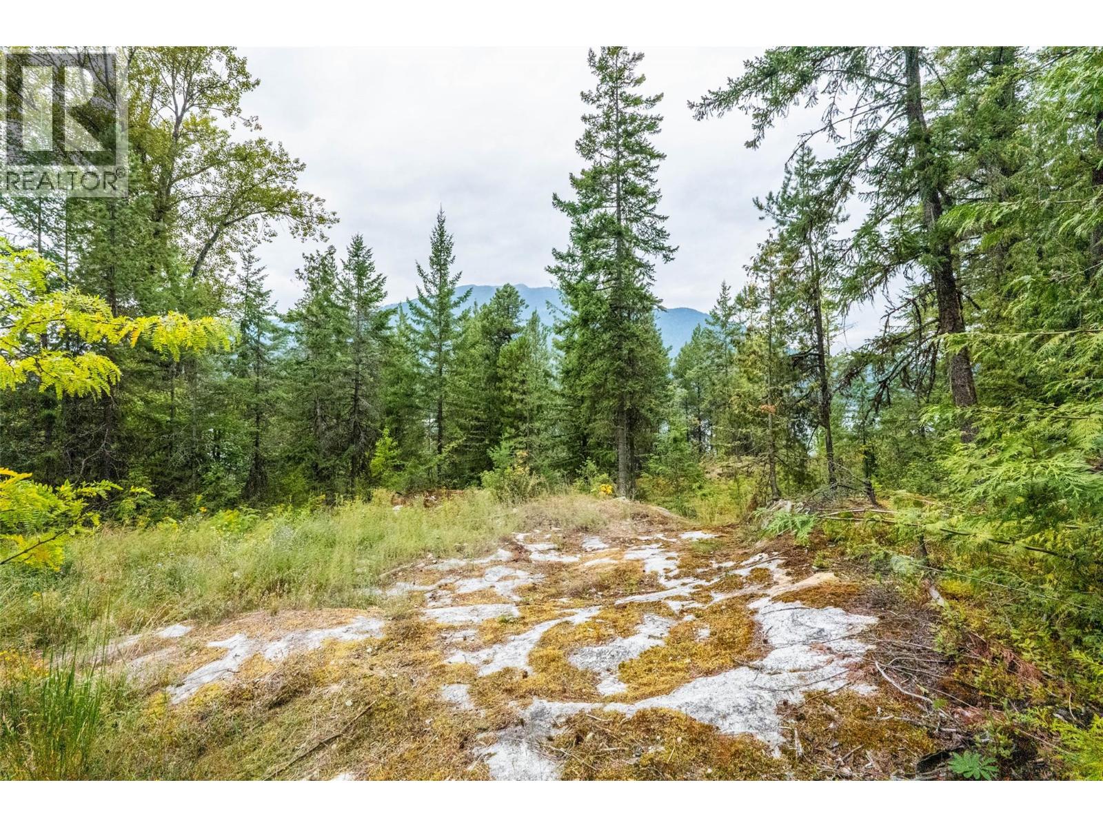 183-191 Kootenay Lake Road Property Photo 16