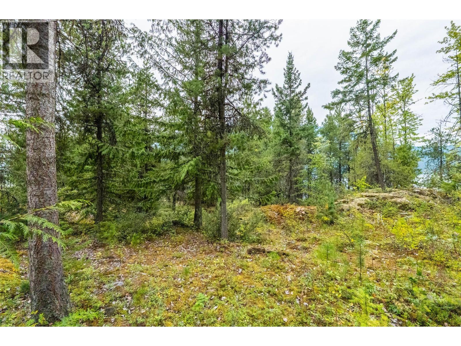 183-191 Kootenay Lake Road Property Photo 17
