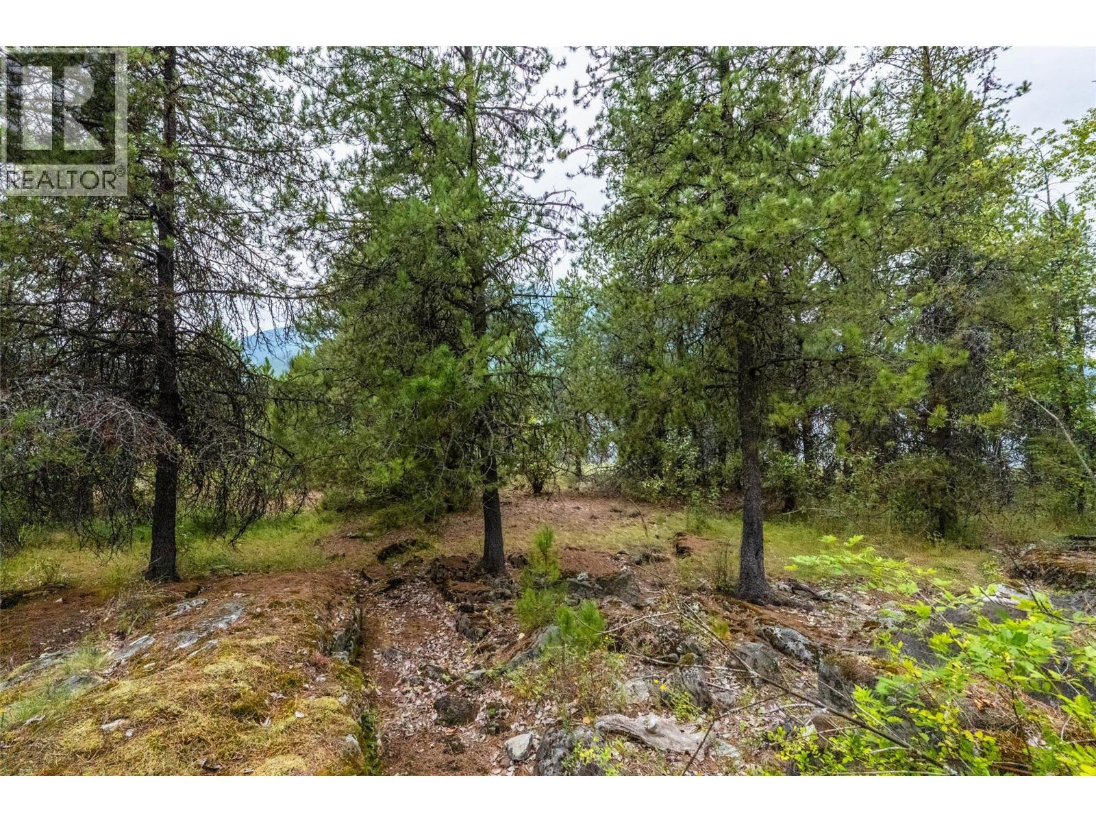 183-191 Kootenay Lake Road Property Photo 18