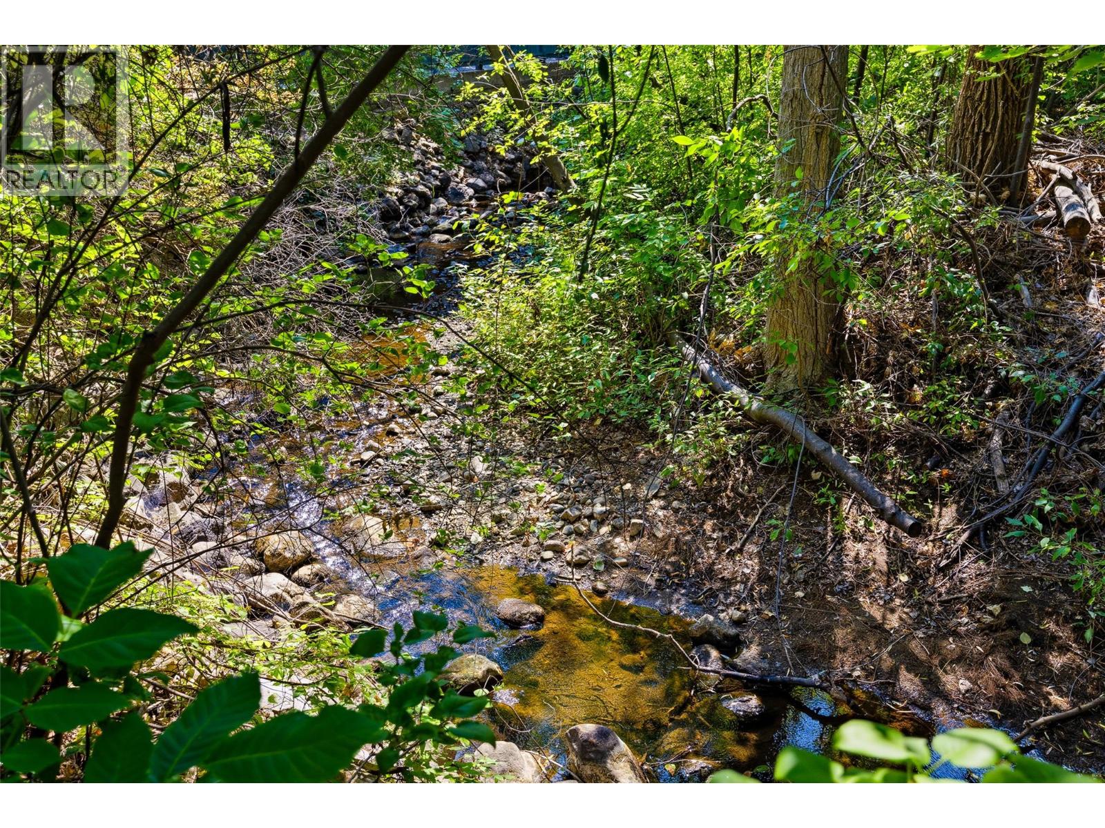 10330 Meadow Road Property Photo 64