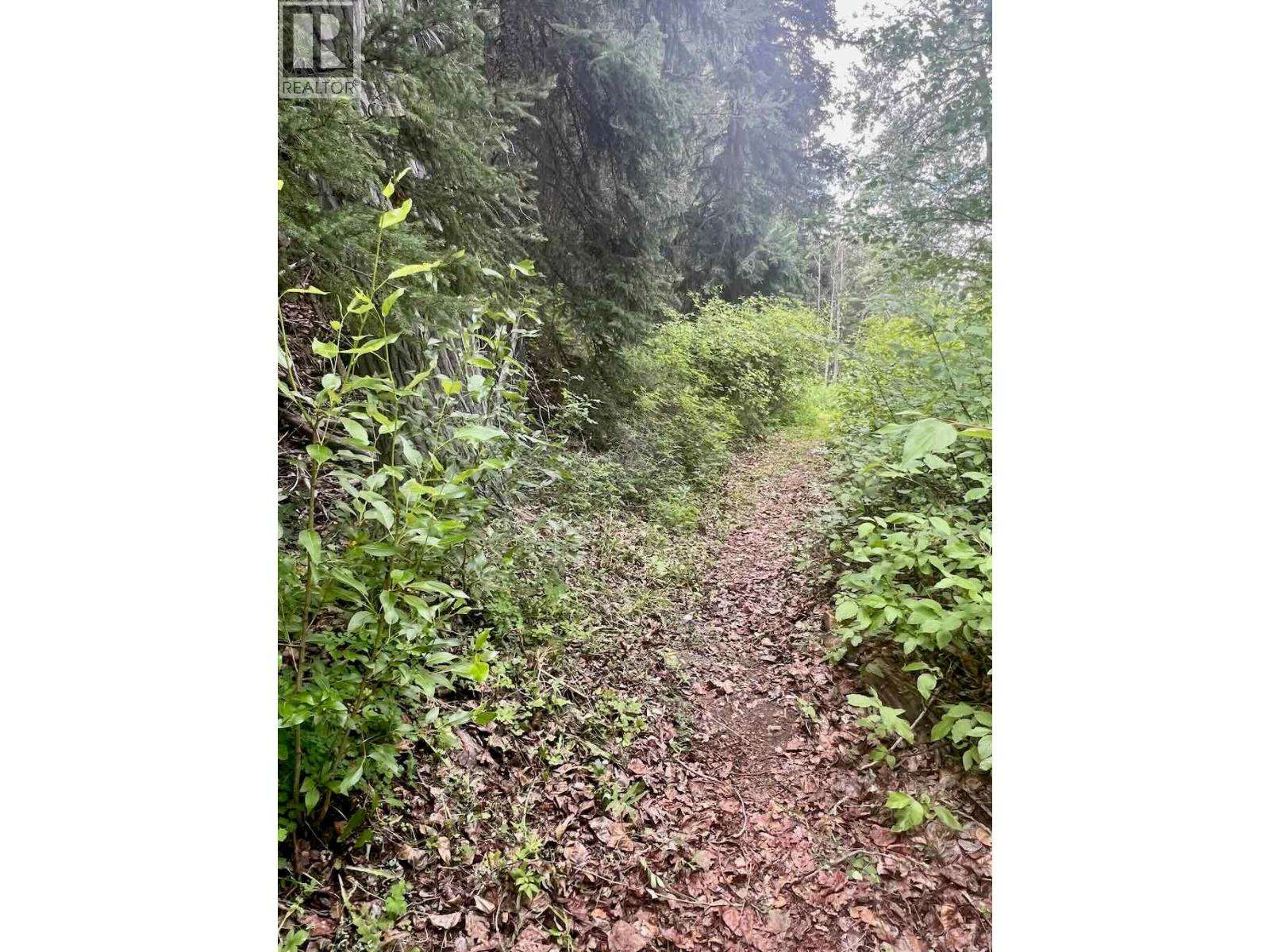 820 Kane Valley Road Property Photo 15
