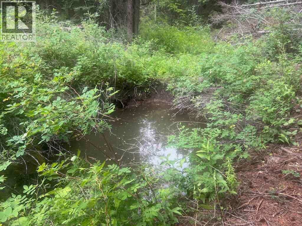 820 Kane Valley Road Property Photo 17