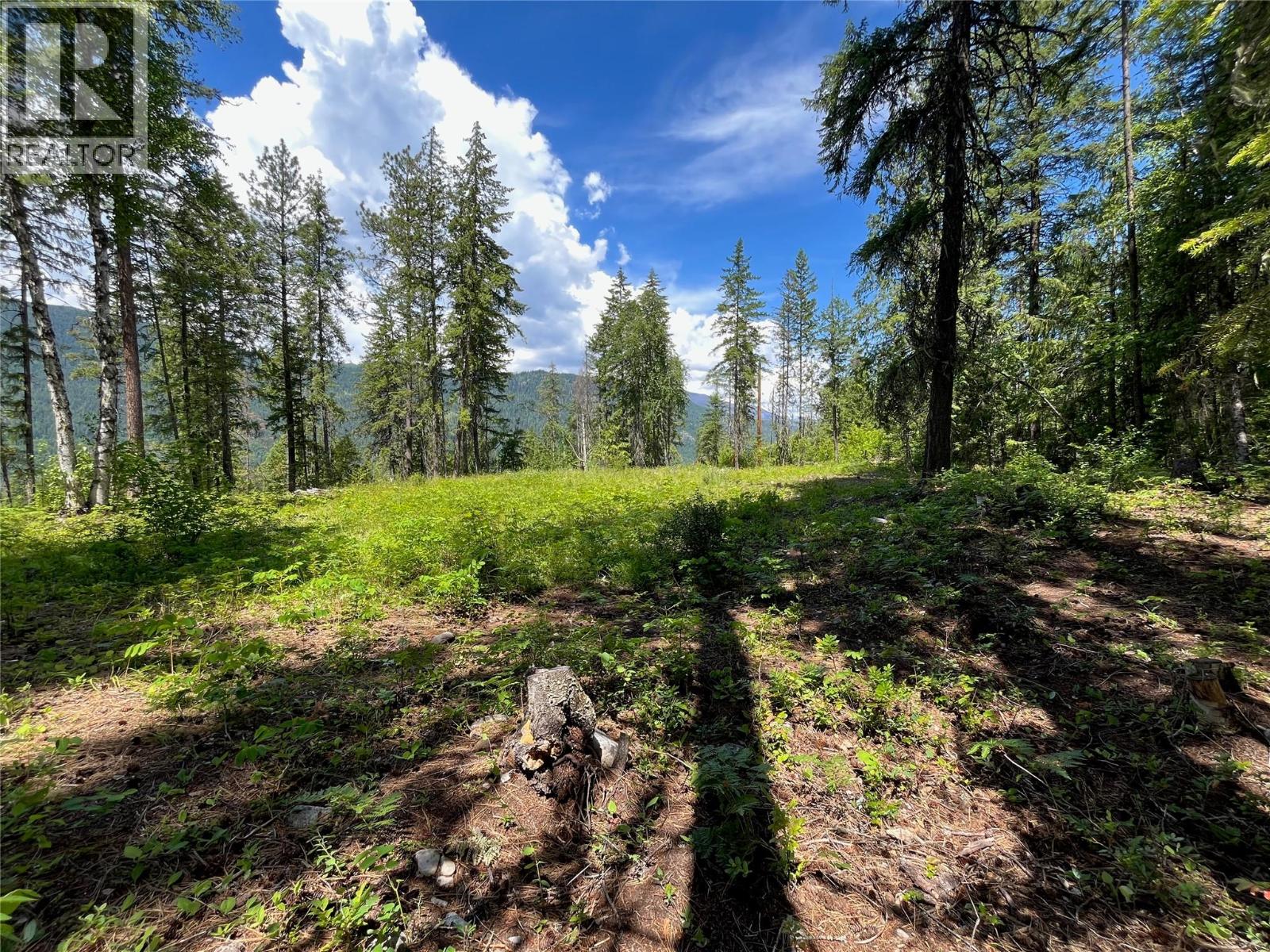 7498 Highway 6 Property Photo 1