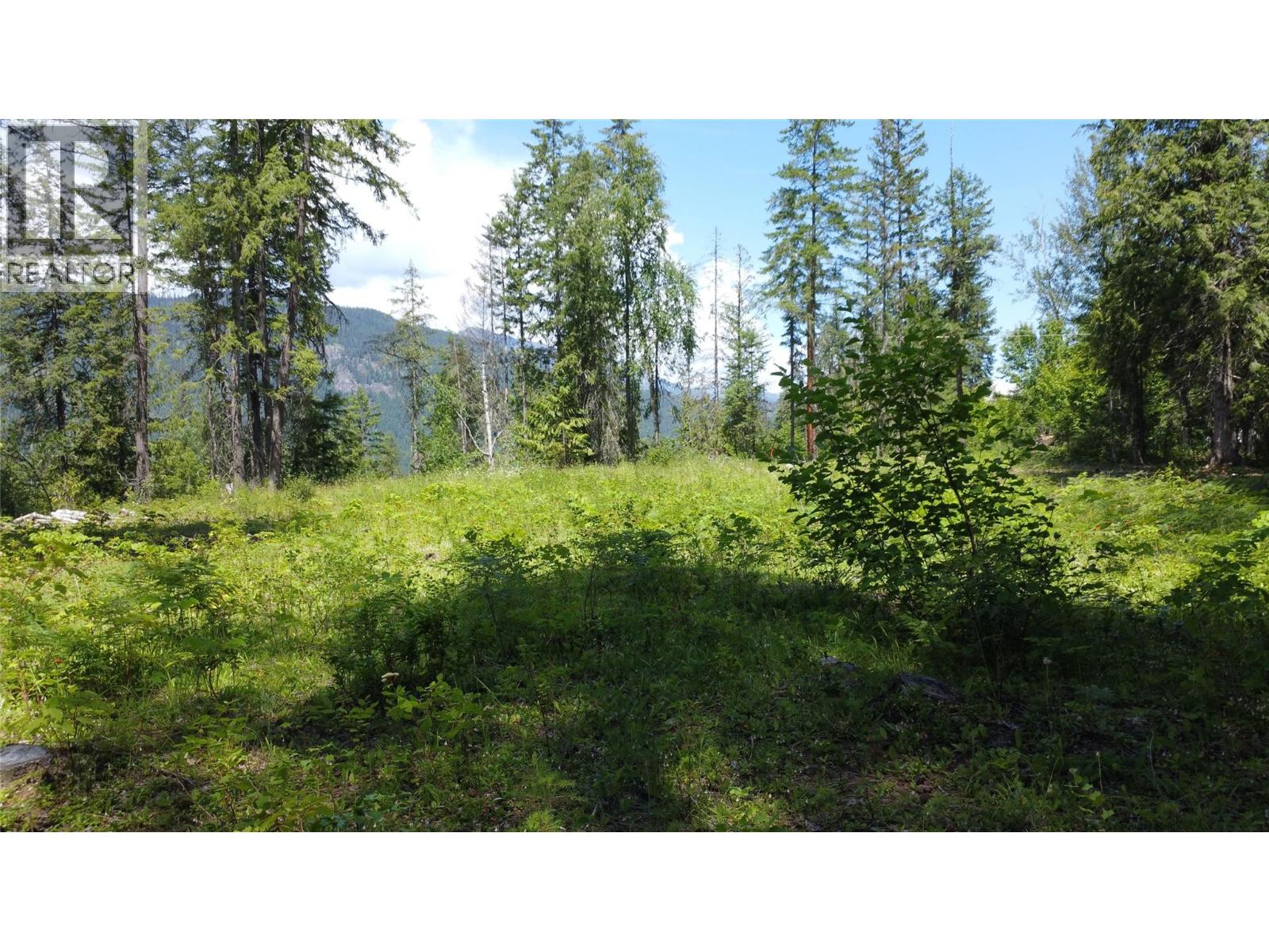 7498 Highway 6 Property Photo 6