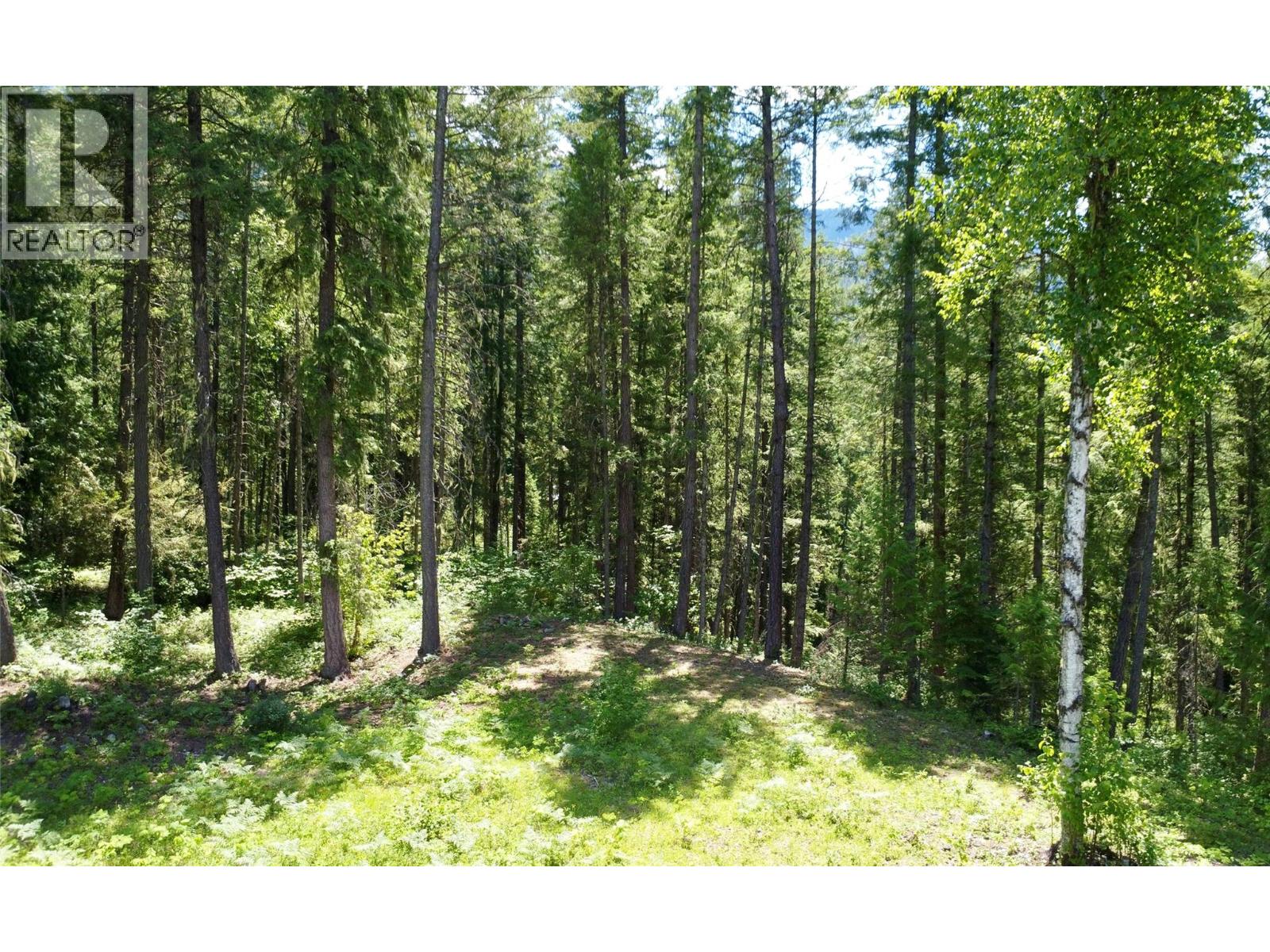 7498 Highway 6 Property Photo 15