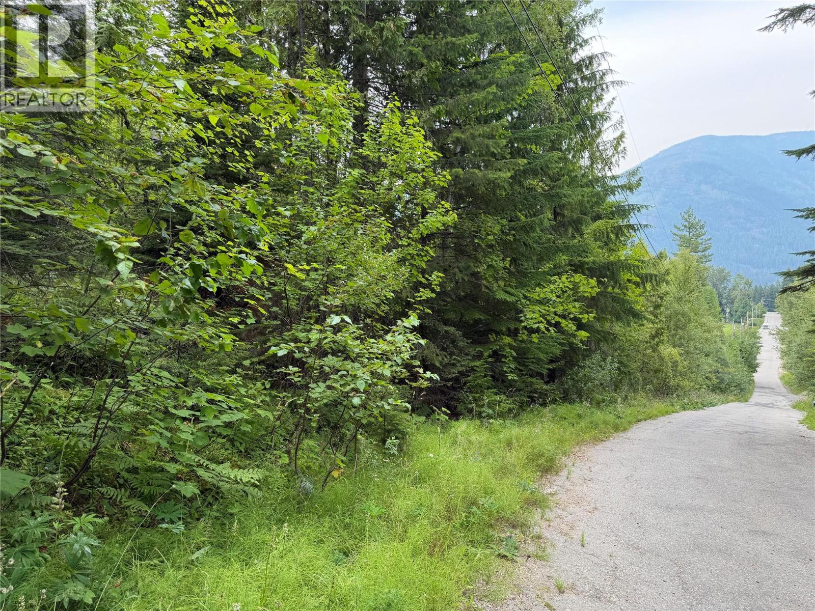 Choquette Avenue Lot# 4 Property Photo 8
